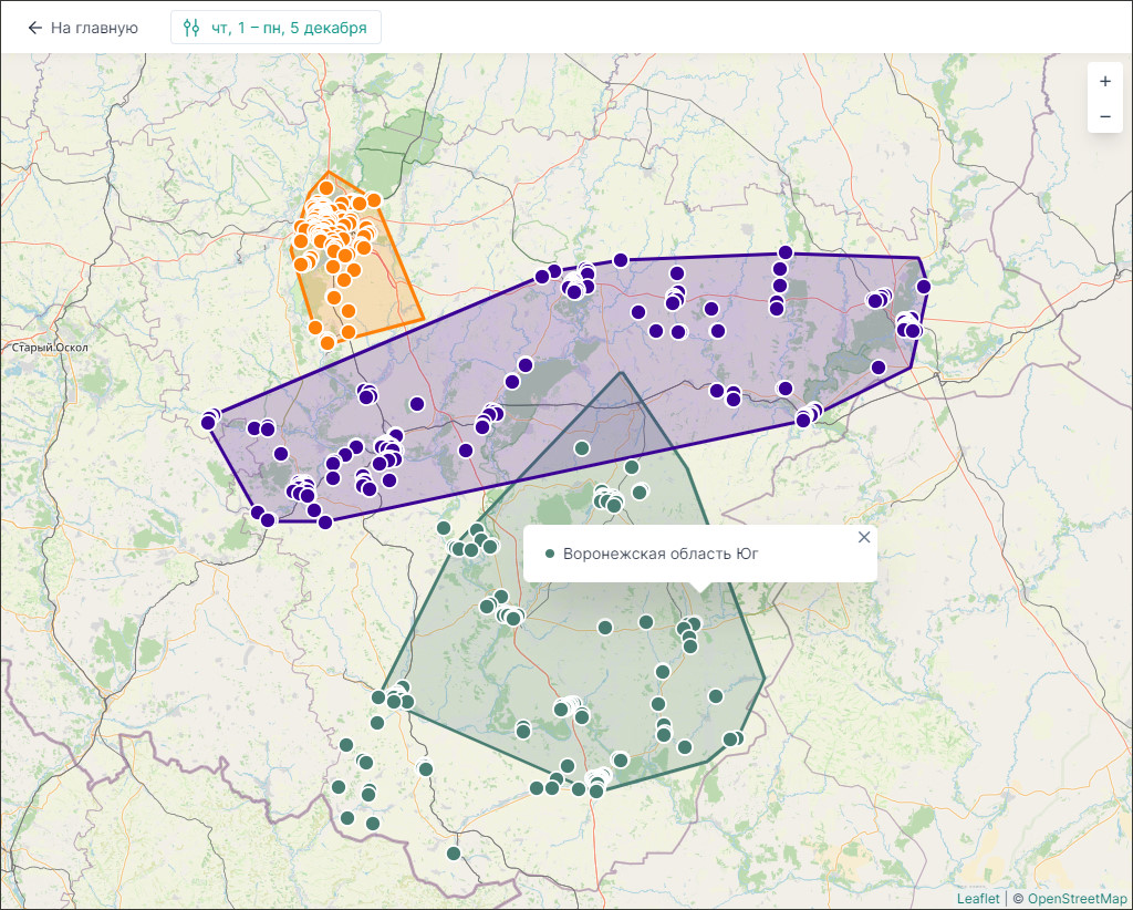 Внешний вид отчета