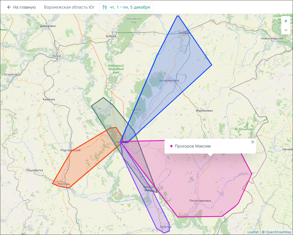Внешний вид отчета