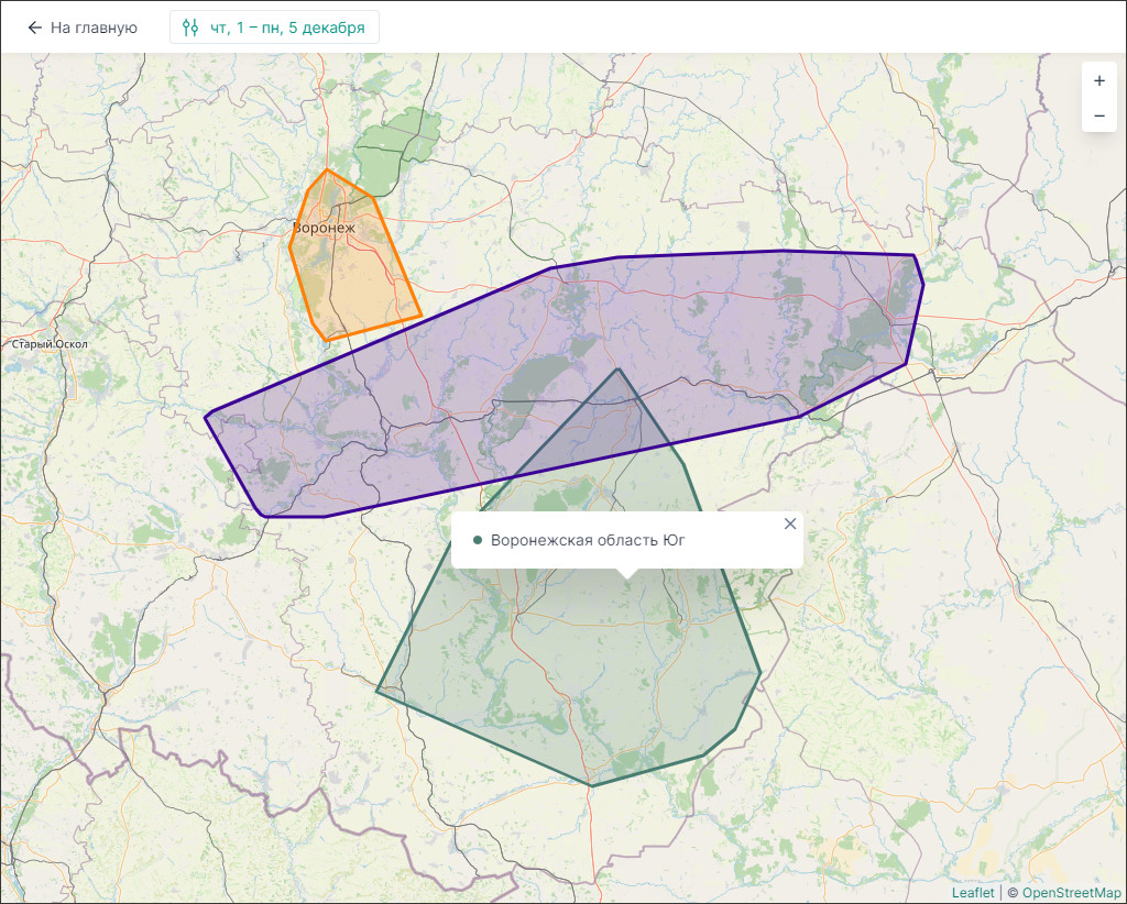 Внешний вид отчета