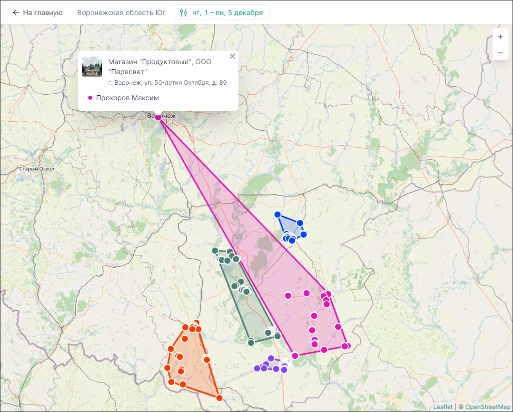 Внешний вид отчета