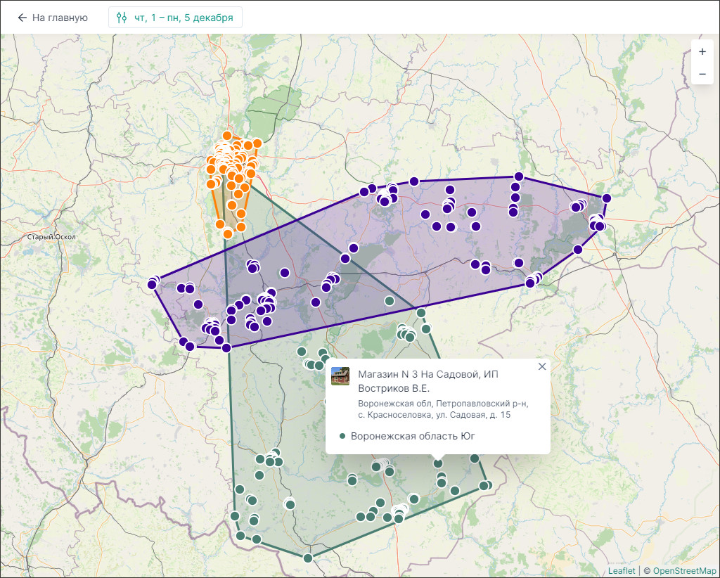Внешний вид отчета